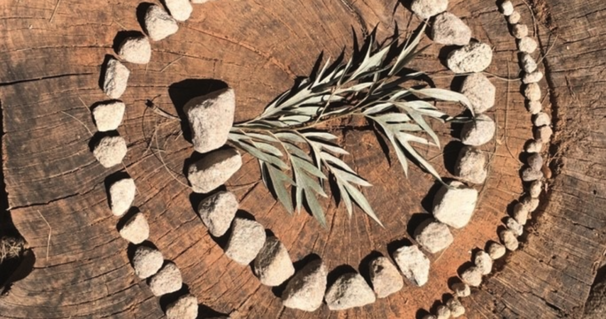 A spiral design of arranged stones and leaves on a tree trunk